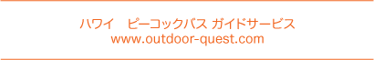 �n���C�̃o�X�ނ�